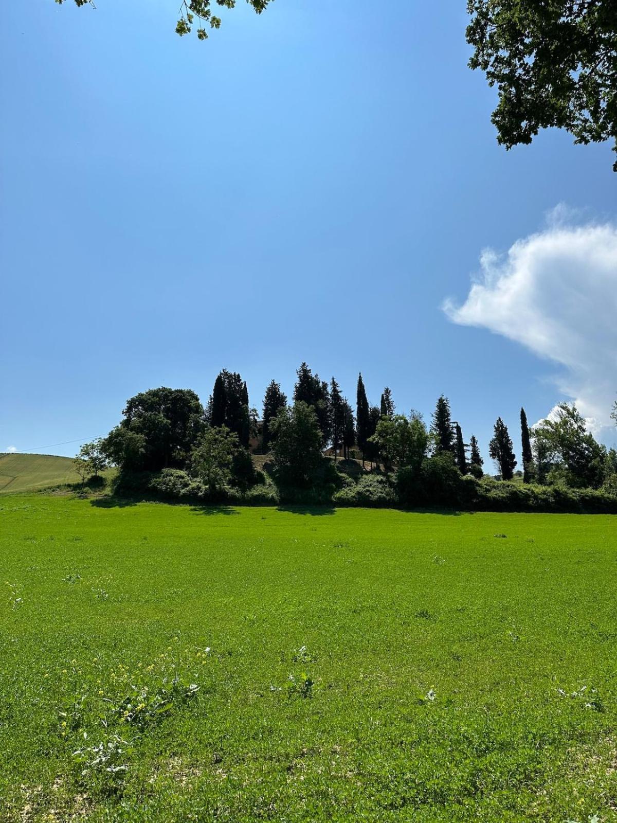 Villa Il Giardinello モンタルチーノ エクステリア 写真