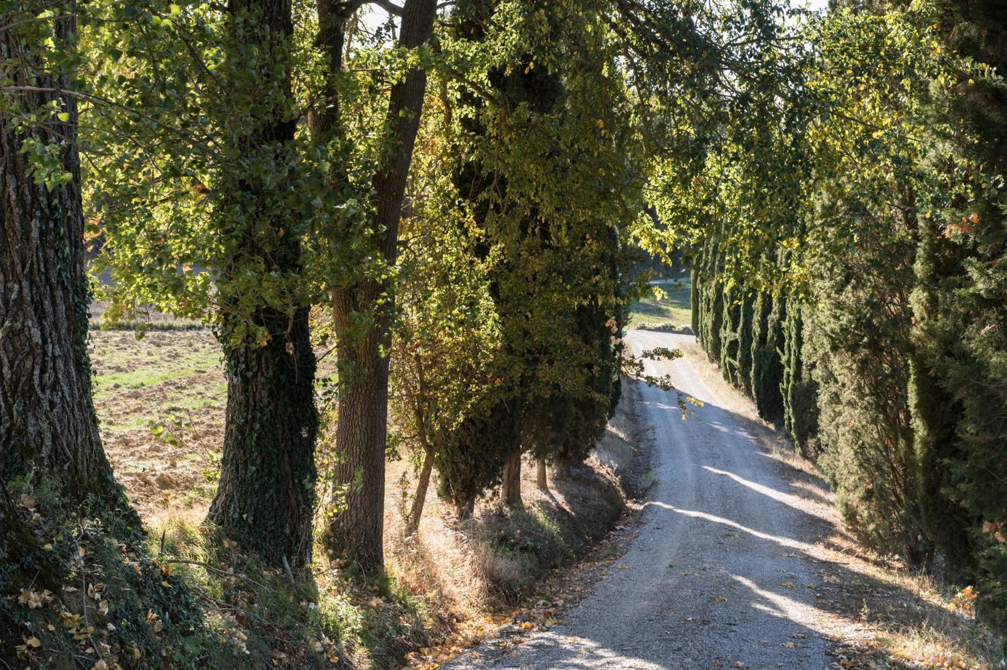 Villa Il Giardinello モンタルチーノ エクステリア 写真